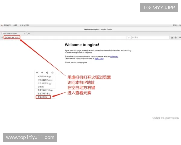 如何快速找到并下载Allbet客户端的详细步骤