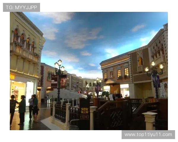 澳门贵宾厅开户流程详解，轻松享受奢华体验